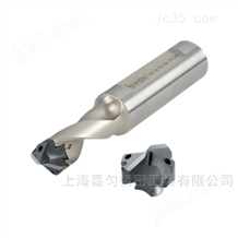 伊斯卡变色龙钻头